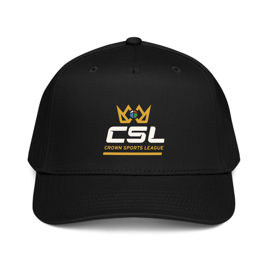 5 panel cap